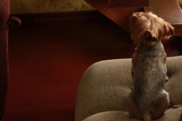 Menção honrosa - Jordana Braz